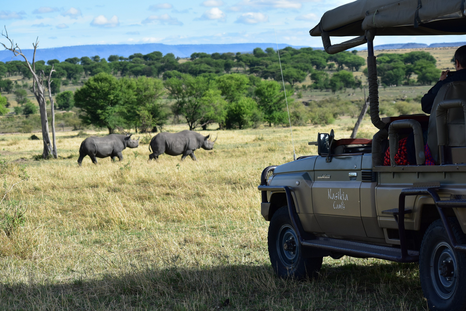 Naona Moru Camp Naona Moru Camp: Nashörner