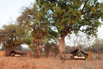 Nkonzi Bush Camp: Gästezelte unter Bäumen