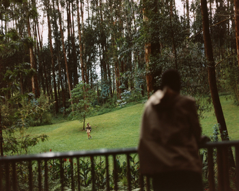 One and Only Gorilla's Nest: Blick auf den Wald