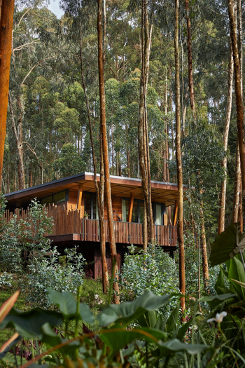 One and Only Gorilla's Nest: Exteriors