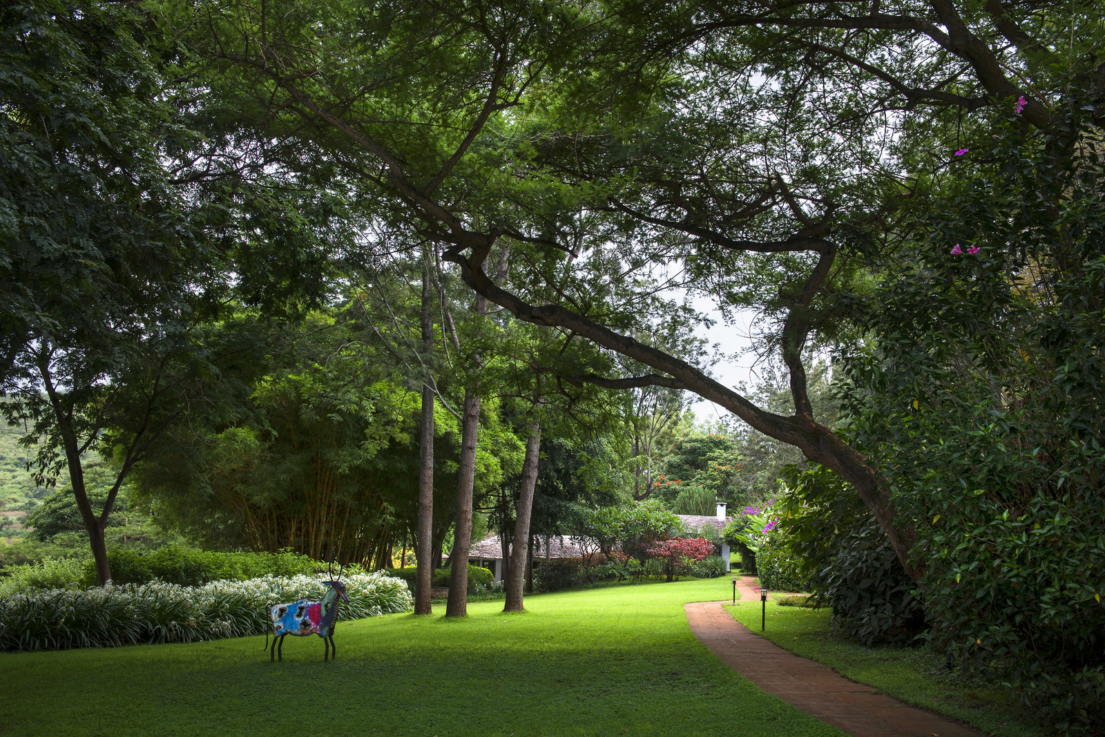Plantation Lodge Plantation Lodge: Park-ähnliche Anlage