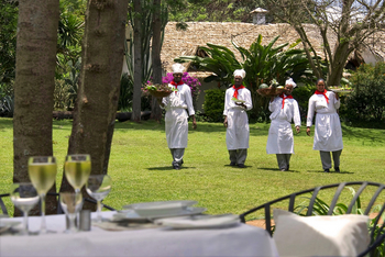 Plantation Lodge: Service