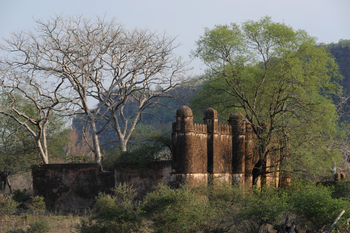Ranthambore National Park: Alte Gemäuer