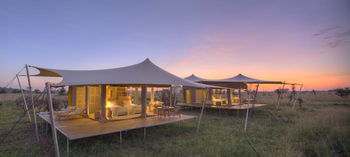 Roving Bushtops Camp: Family Tent