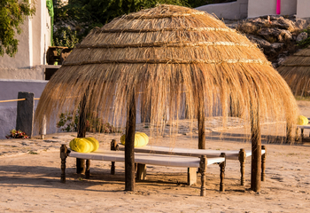 Brij Lakshman Sagar: Sonnenschirm