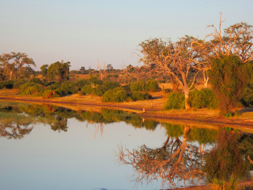 Chobe Elephant Camp