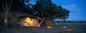 Elewana Elephant Pepper Camp Elewana Elephant Pepper Camp: Gästezelt unter Bäumen