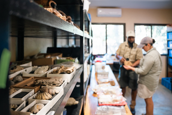 Gorongosa Safaris: Details Wilson Lab