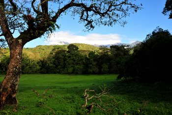 Hatari Lodge: Landschaft im Arusha National Park