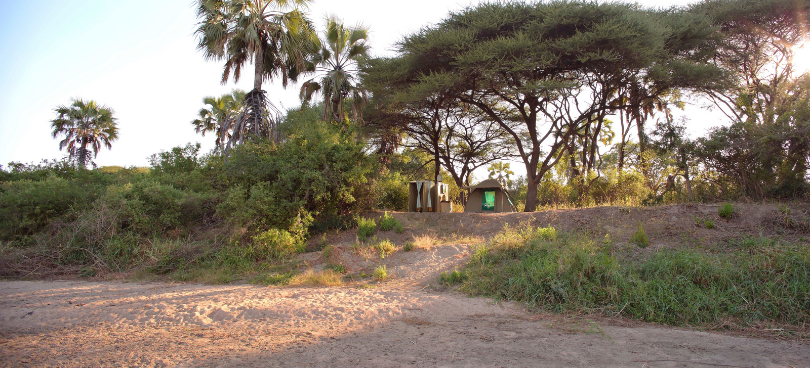 Kichaka Kidogo Fly Camp Kichaka Kidogo Fly Camp: Zelt unter Bäumen