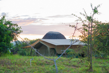 Kidepo Savannah Lodge: Safarizelt