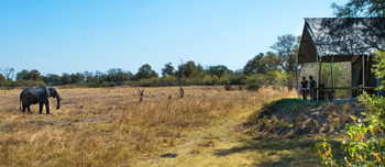 Little Machaba Camp: Kurze Distanz zu den Tieren
