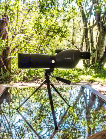 Losokwan Luxury Tented Camp: Fernglas