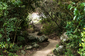 Mihingo Lodge: Weg durchs Gelände