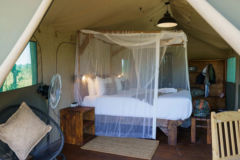 Mogogelo Camp Mogogelo Camp: Gästezelt - Innenansicht