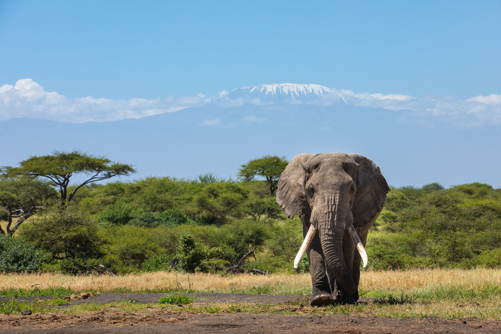 Ol Donyo Lodge Ol Donyo Lodge