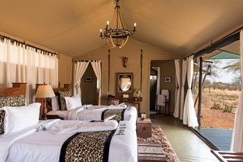 Ole Serai Camp Moru Kopjes: Twin Room