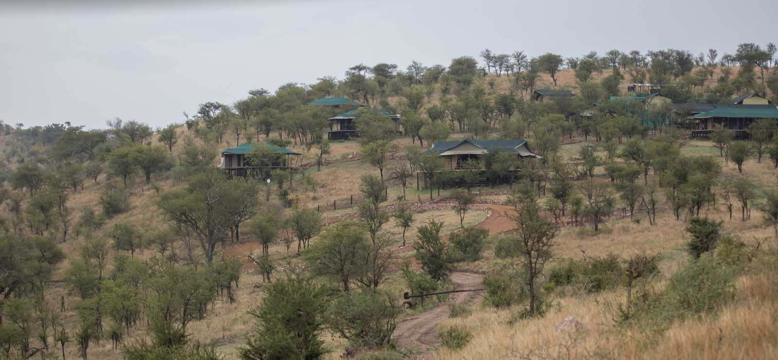 Ole Serai Camp Seronera Ole Serai Camp Seronera: Gästezelte