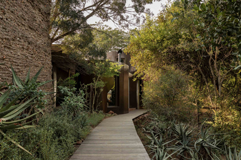 Singita Lebombo Lodge: Holzsteg durch üppigen Busch im Morgenlicht
