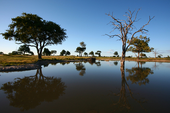 The Hide: Makwa-Pfanne