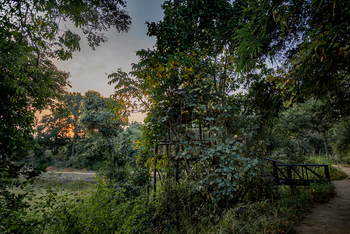 Treehouse Hideaway: Zugang zum Machan