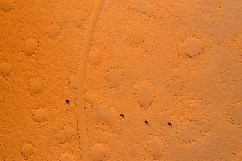 andBeyond Sossusvlei Desert Lodge: Feenkreise und Oryx