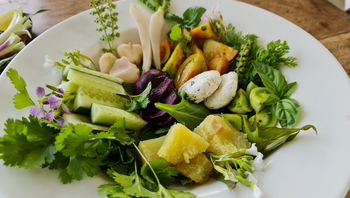 Brij Lakshman Sagar: FrischerSalat