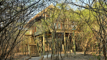 Chobe Bakwena Lodge Chobe Bakwena Lodge: Treetop Chalet - Lage im Busch