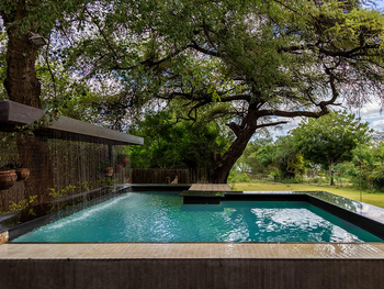 Chobe River Lodge: Swimming Pool
