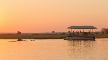 Chobe Savanna Lodge: Sundowner Cruise
