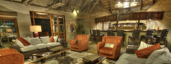 Divava Okavango Lodge and Spa: Lounge