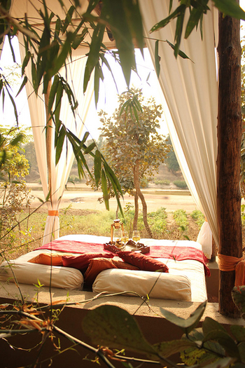 Flame of the Forest Safari Lodge: Machaan