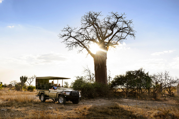 Ila Safari Lodge Ila Safari Lodge: Game Drive