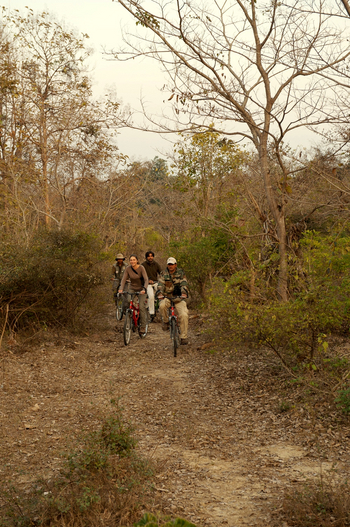 Jim's Jungle Retreat: Cycling