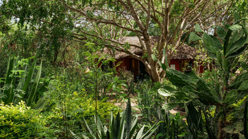 KIA Lodge: Gästezelte im Wald mit Strohdach