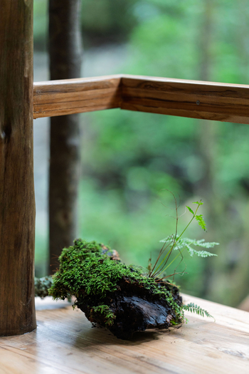 Koroi Forest Camp: Details Interior