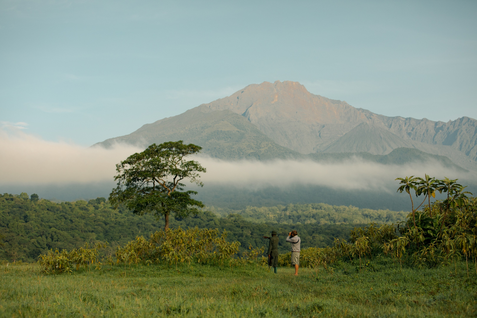 Koroi Forest Camp Koroi Forest Camp: Landschaft