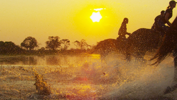 Kujwana Camp: Sonnenuntergang und spritzendes Wasser