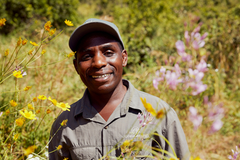 Laba Jongomero: Porträt Mitarbeiter