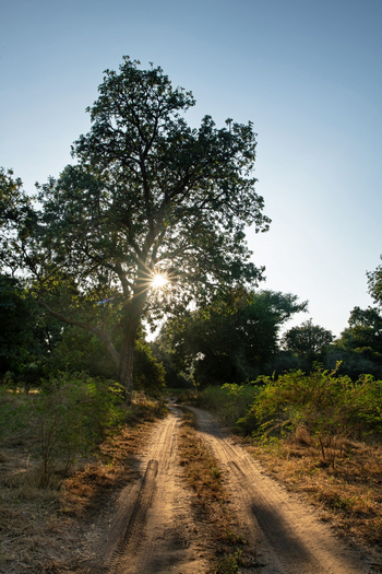 Mana River Camp Mana River Camp: Piste