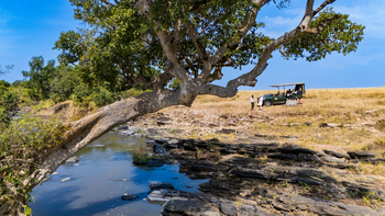 Mara Toto Tree Camp: Ntiakitiak River