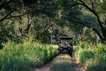 Nanzhila Lake Camp Nanzhila Lake Camp: Game Drive