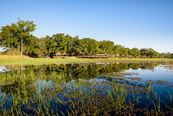 Sanctuary Chief's Camp Sanctuary Chief's Camp: Unter Bäumen