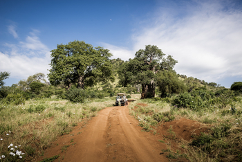 Sanctuary Swala: Game Drive