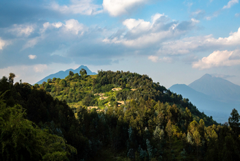 Bisate Lodge: Hügel der Lodge vor den Vulkanen