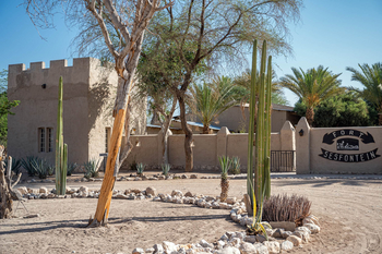 Fort Sesfontein Lodge: Kakteenring vor sonnenheller Lehmmauer