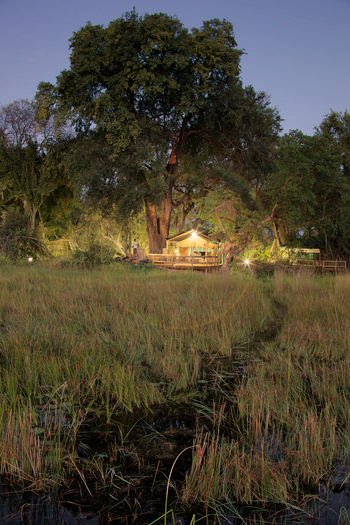 Gunn's Camp: Beleuchtetes Gästezelt