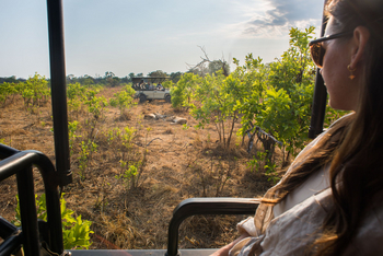 Ila Safari Lodge Ila Safari Lodge: Game Drive