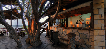 Ken River Lodge: Alter Baum vor der Bar
