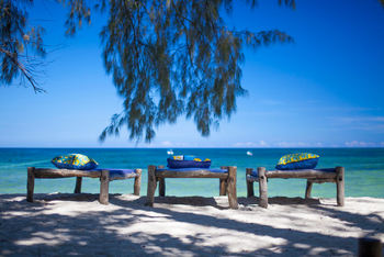 Kinondo Kwetu Kinondo Kwetu: Blaue Farbtöne